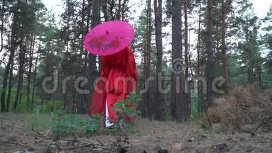 一个穿着红色和服的女孩在伞下走着针叶林，<strong>转</strong>过身，用<strong>扇子</strong>遮住她的脸，慢慢地